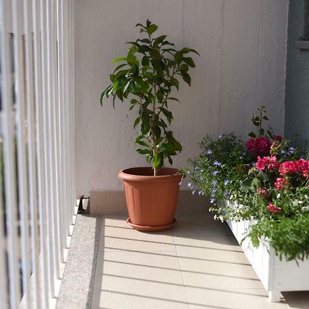 زادار Darin Apartment المظهر الخارجي الصورة